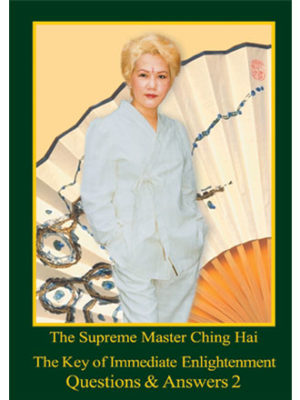 The Key of Immediate Enlightment Q & A 2