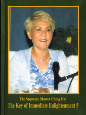 The Key of Immediate Enlightenment Q & A 1 – The Celestial Shop