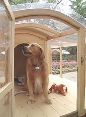 Dog House