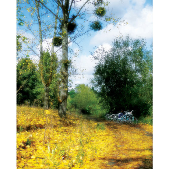 The End of the Cloud