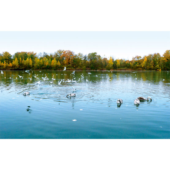 The Rhythm of Silence