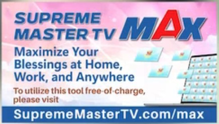 Supreme Master TV max